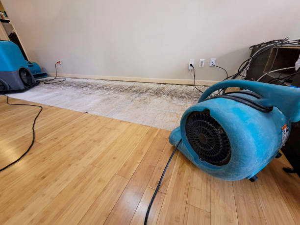 Professional Flood Damage Cleanup technician working in Cutler, OH